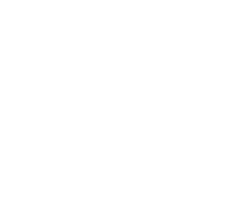 El Centro Histórico